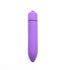 Mini bullet Vibe